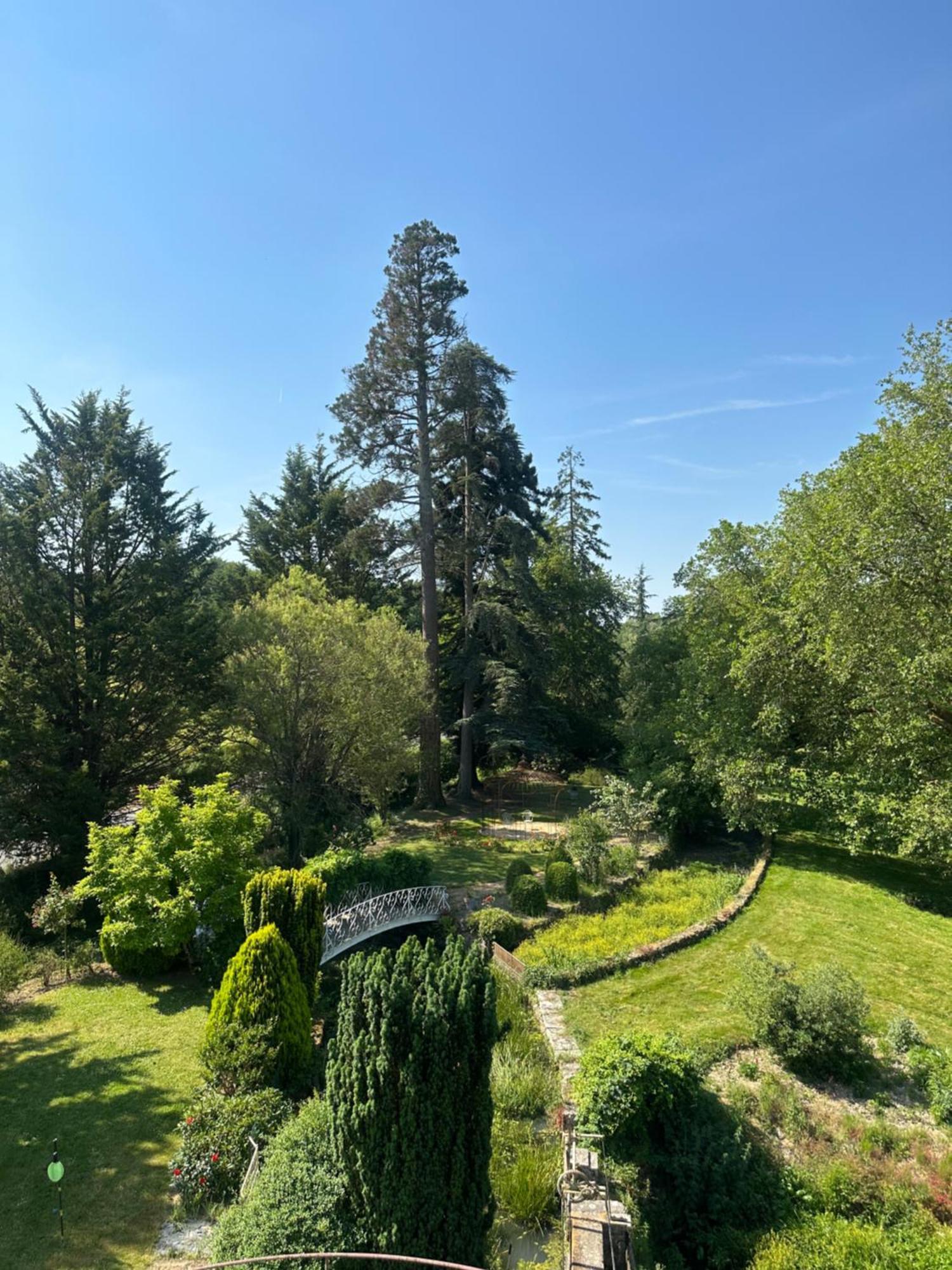 Le Moulin De Francueil Bed & Breakfast Exterior foto
