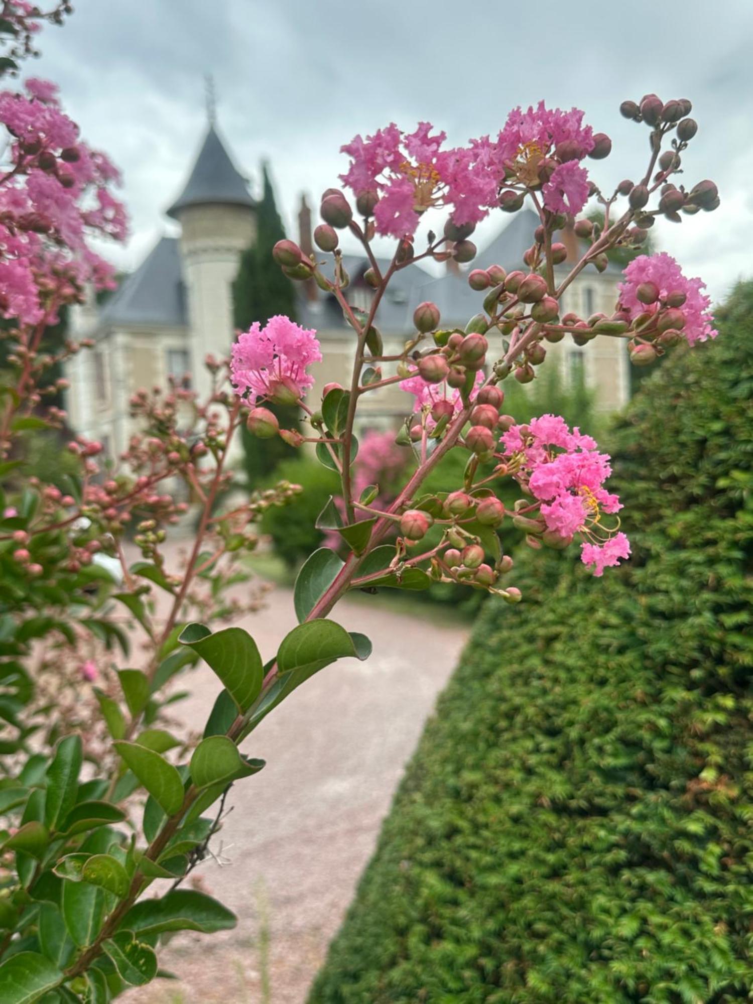 Le Moulin De Francueil Bed & Breakfast Exterior foto