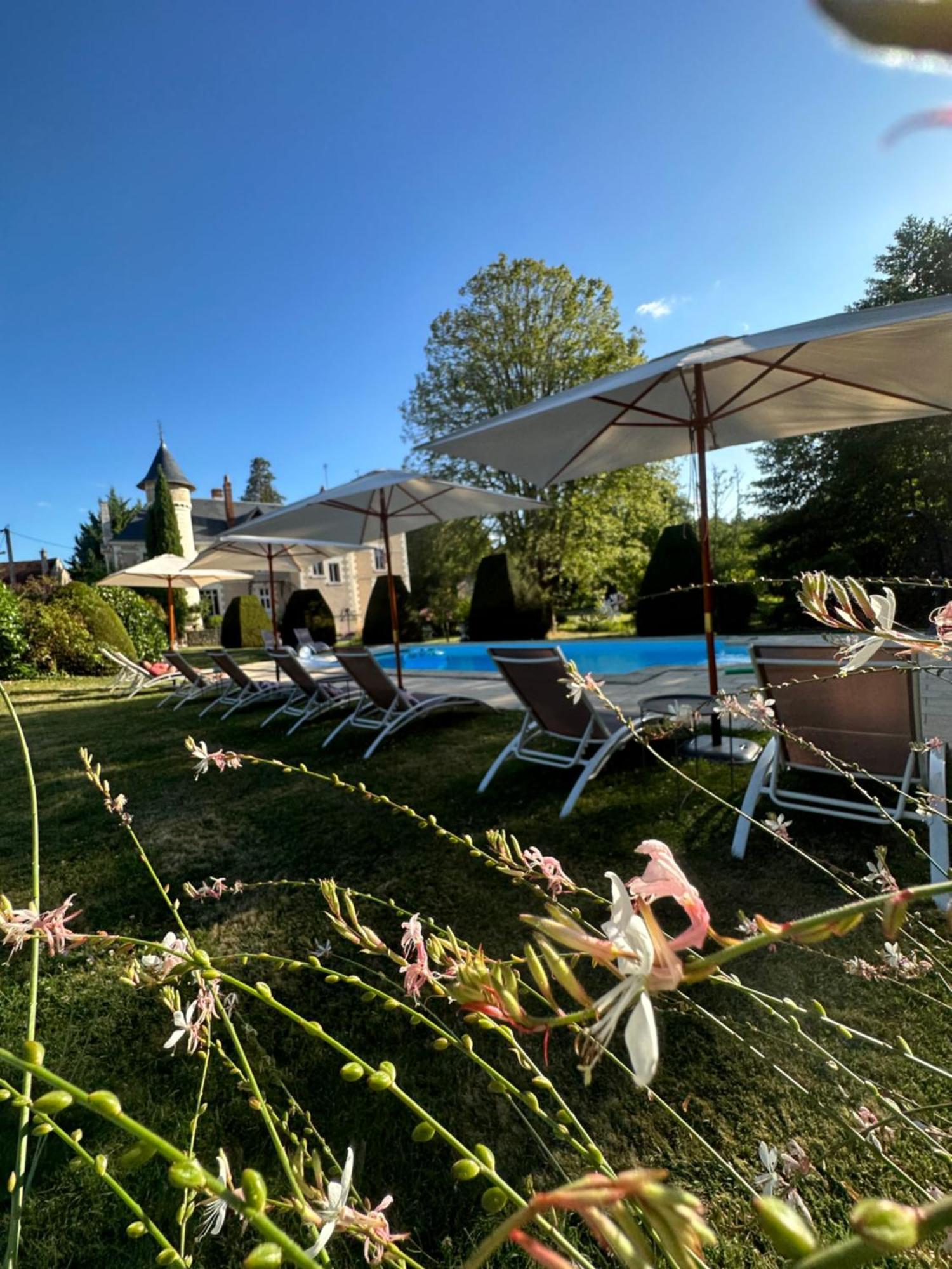 Le Moulin De Francueil Bed & Breakfast Exterior foto